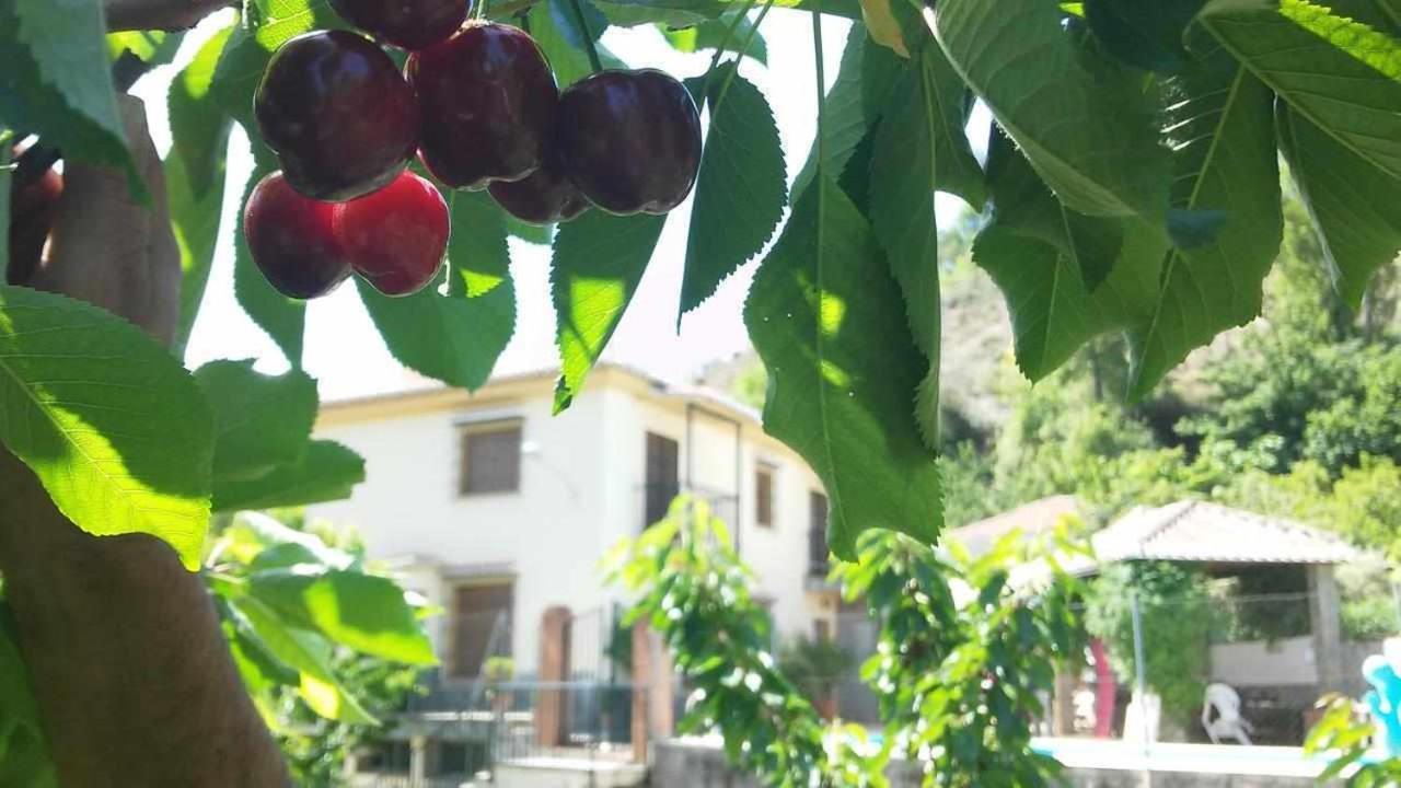 Casa Rural Las Huertas De Roque Monachil Εξωτερικό φωτογραφία