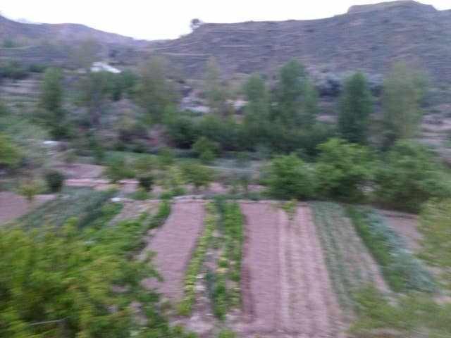 Casa Rural Las Huertas De Roque Monachil Εξωτερικό φωτογραφία