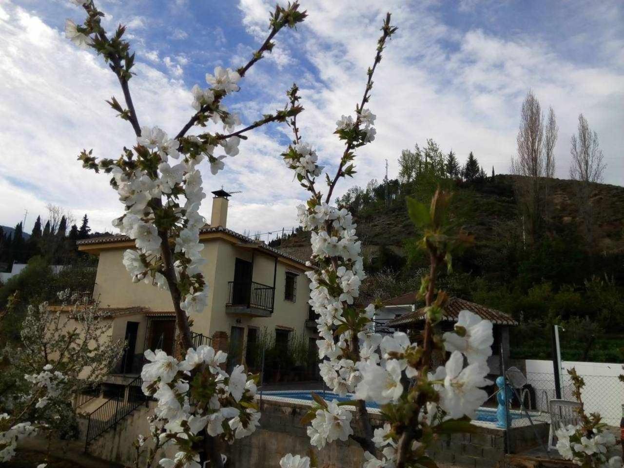 Casa Rural Las Huertas De Roque Monachil Δωμάτιο φωτογραφία