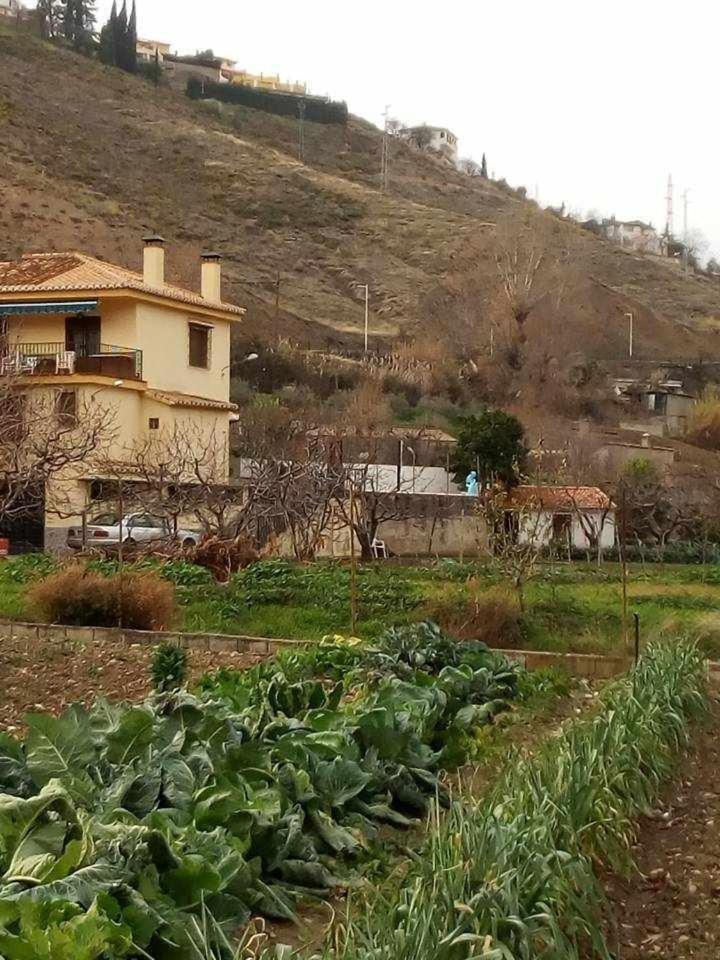 Casa Rural Las Huertas De Roque Monachil Δωμάτιο φωτογραφία